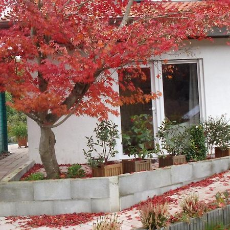 Haus Magnolia 2 Apartamento Kandern Exterior foto