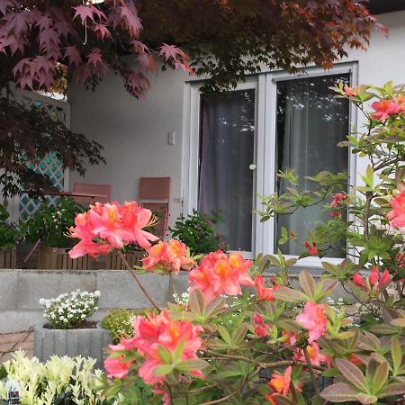 Haus Magnolia 2 Apartamento Kandern Exterior foto