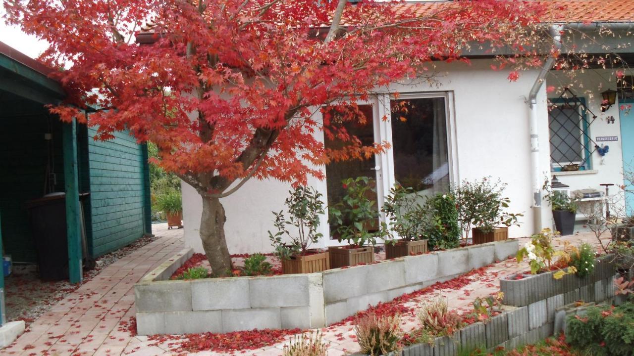 Haus Magnolia 2 Apartamento Kandern Exterior foto